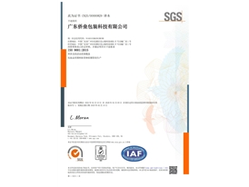 ISO9001：2015质量管理体系认证中文版
