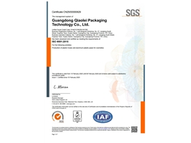 ISO9001：2015质量管理体系认证英文版